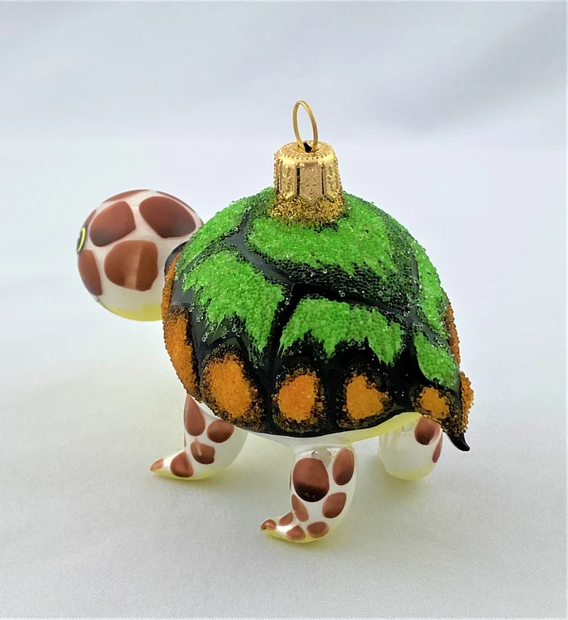 Schildkröte