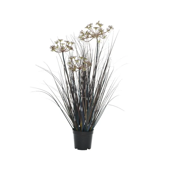 Gras im Topf