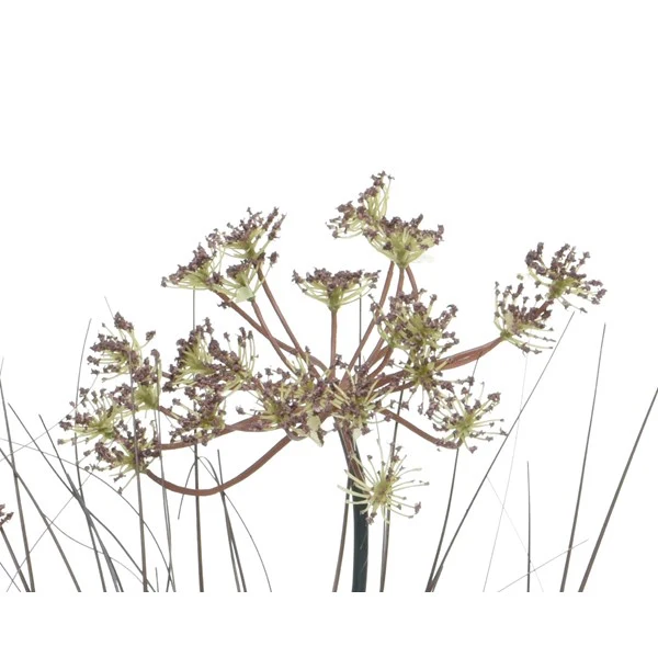 Gras im Topf