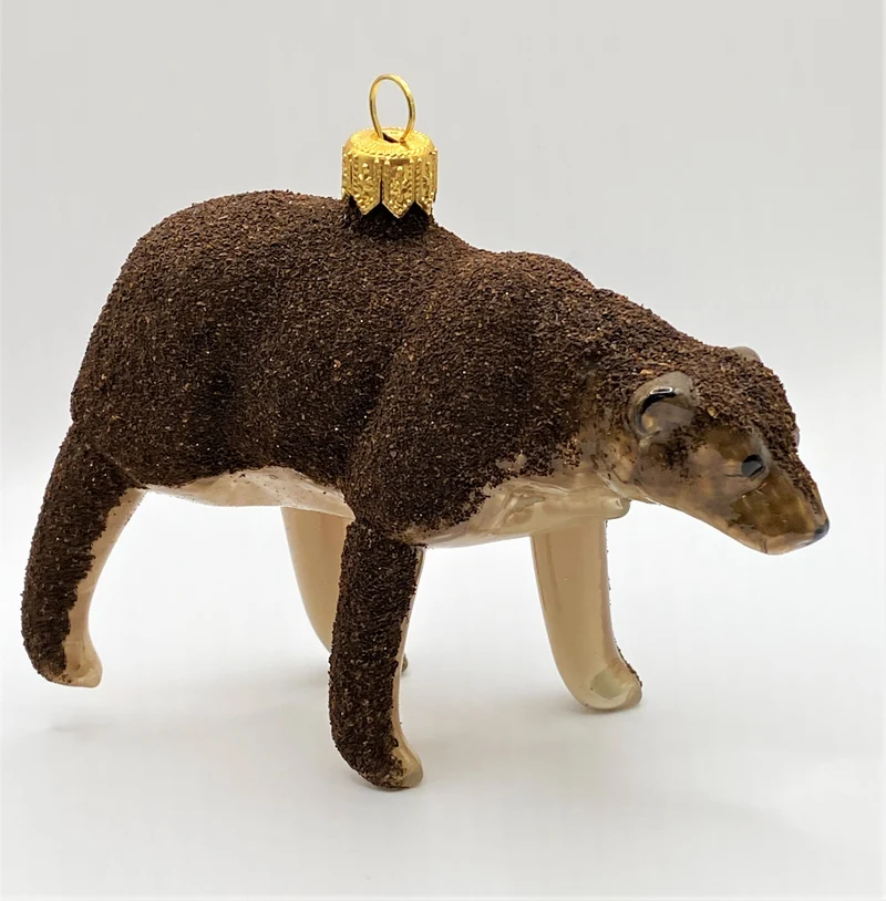 Braunbär