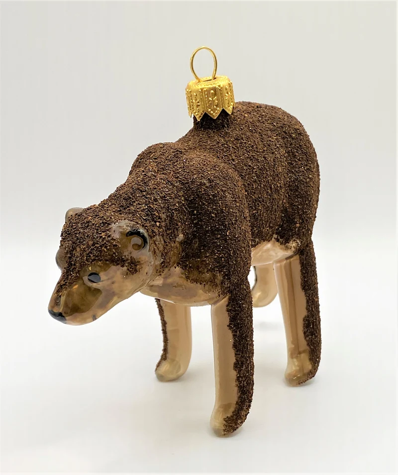 Braunbär