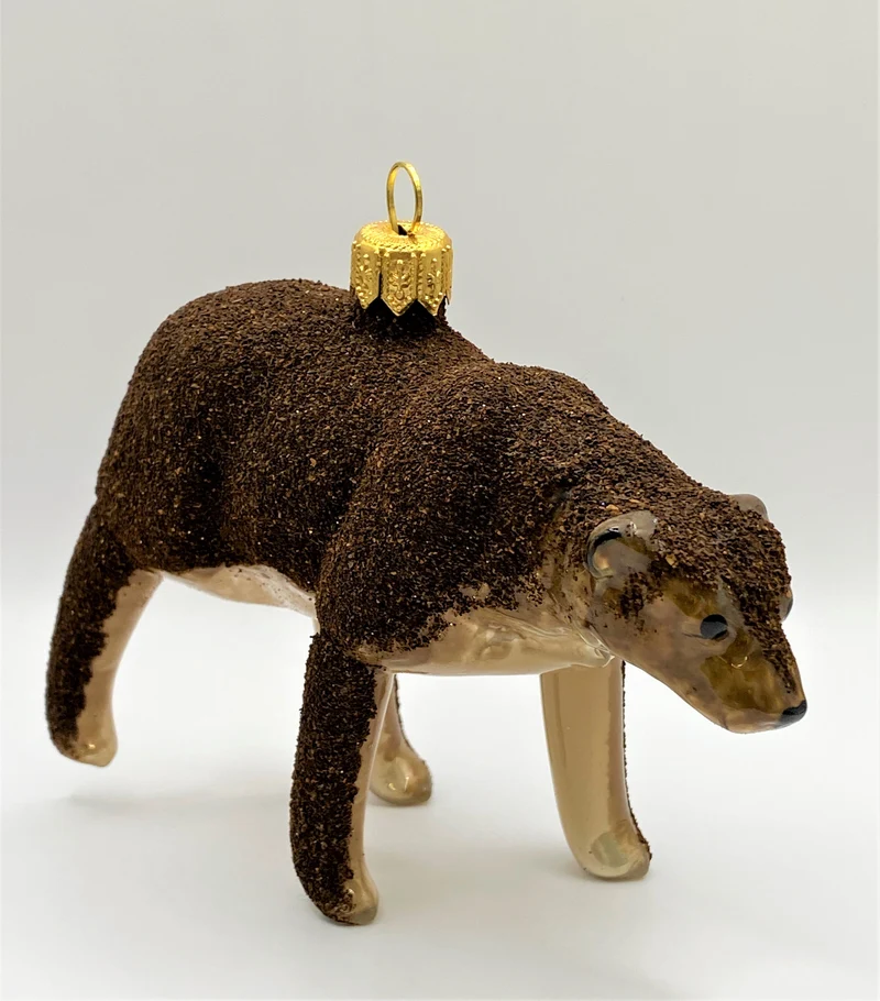 Braunbär