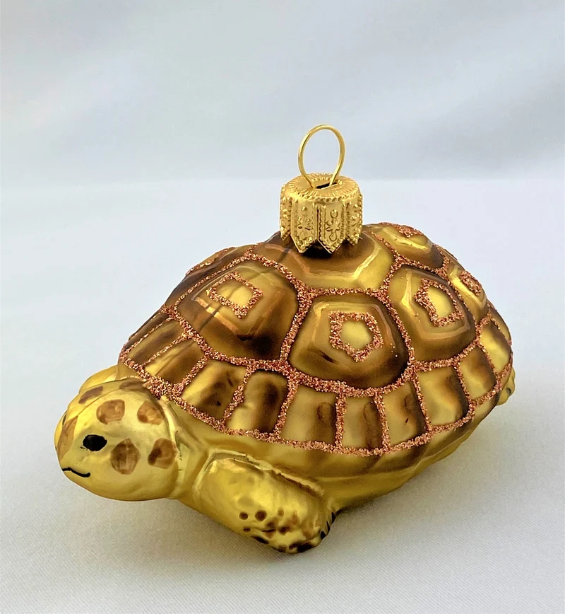 Schildkröte mit braunem Panzer