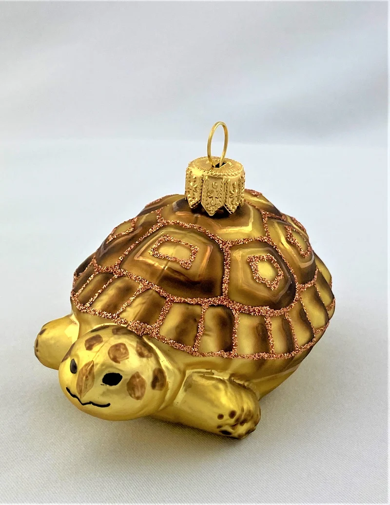 Schildkröte mit braunem Panzer