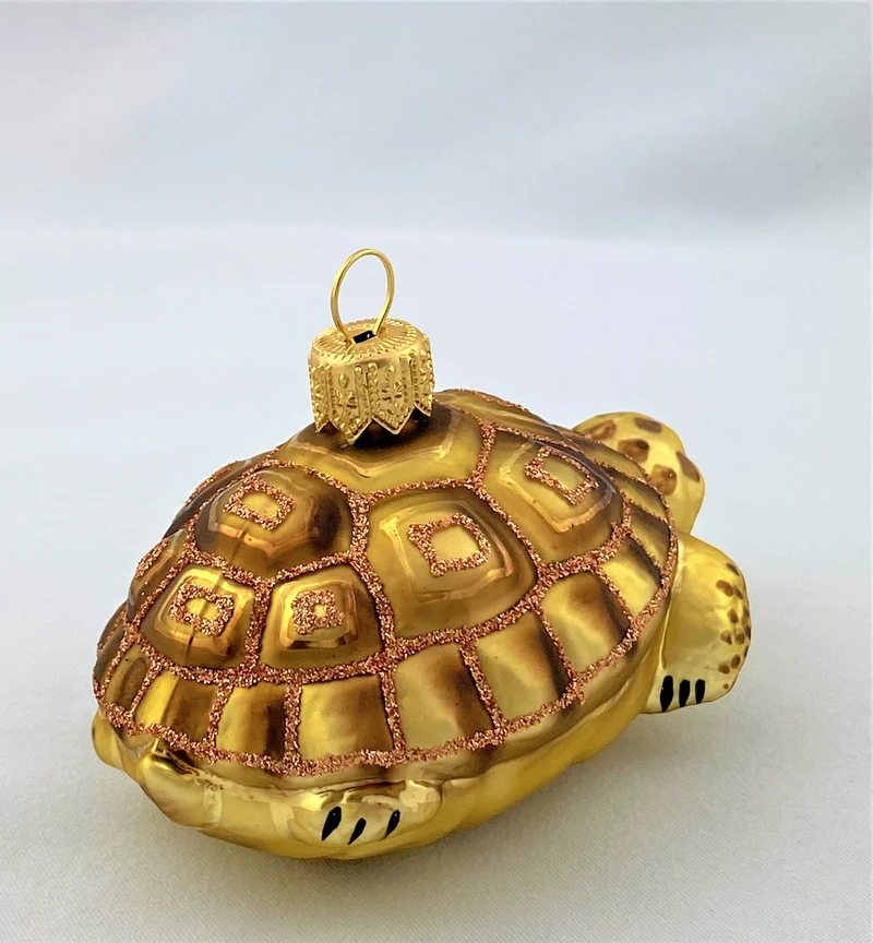 Schildkröte mit braunem Panzer