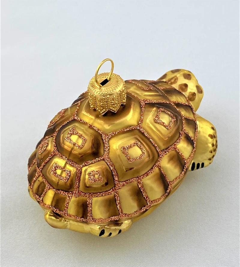 Schildkröte mit braunem Panzer