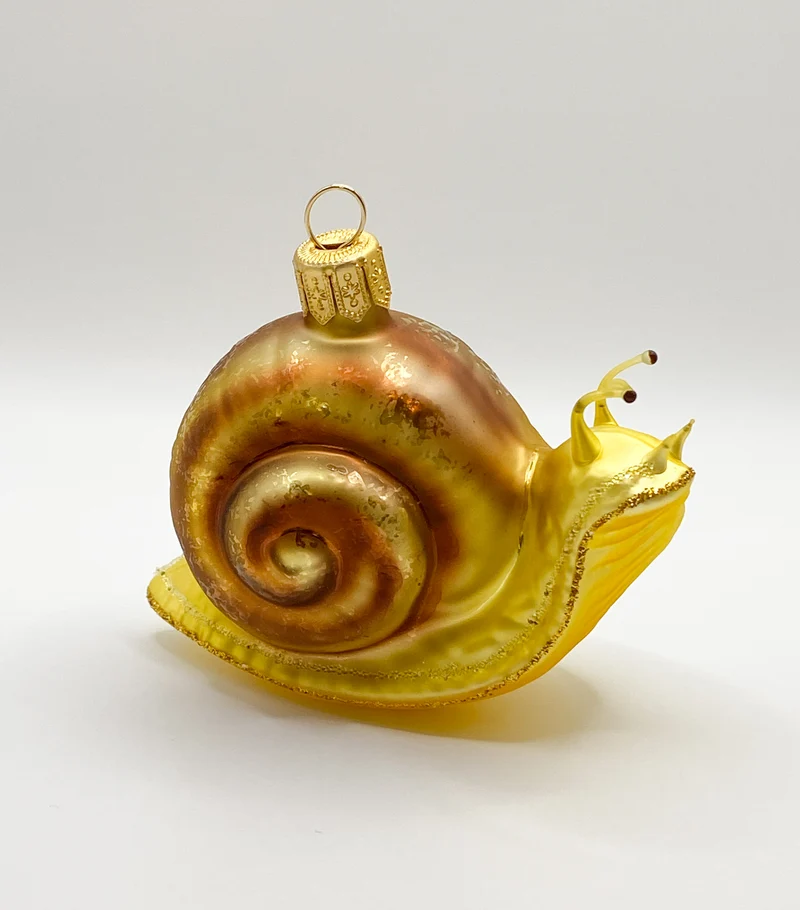 Schnecke mit braunem Häuschen
