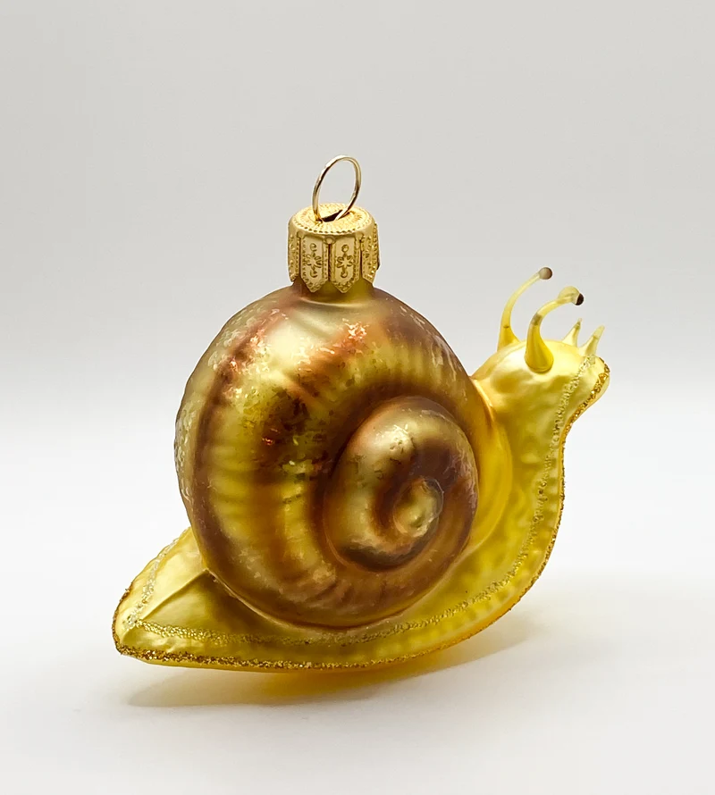 Schnecke mit braunem Häuschen