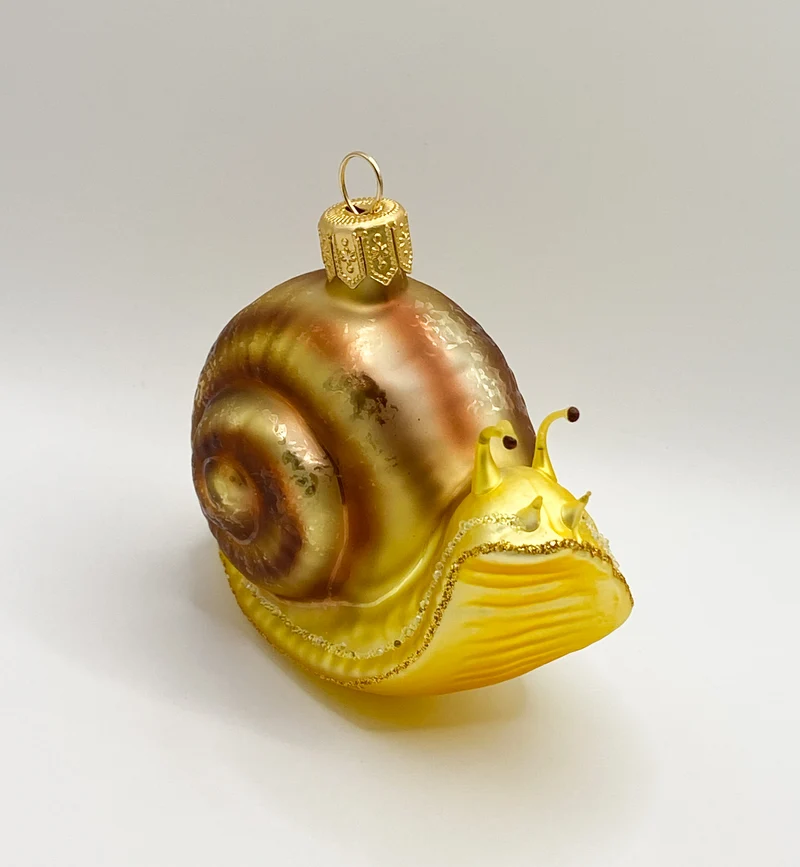 Schnecke mit braunem Häuschen