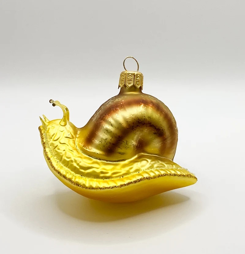 Schnecke mit braunem Häuschen