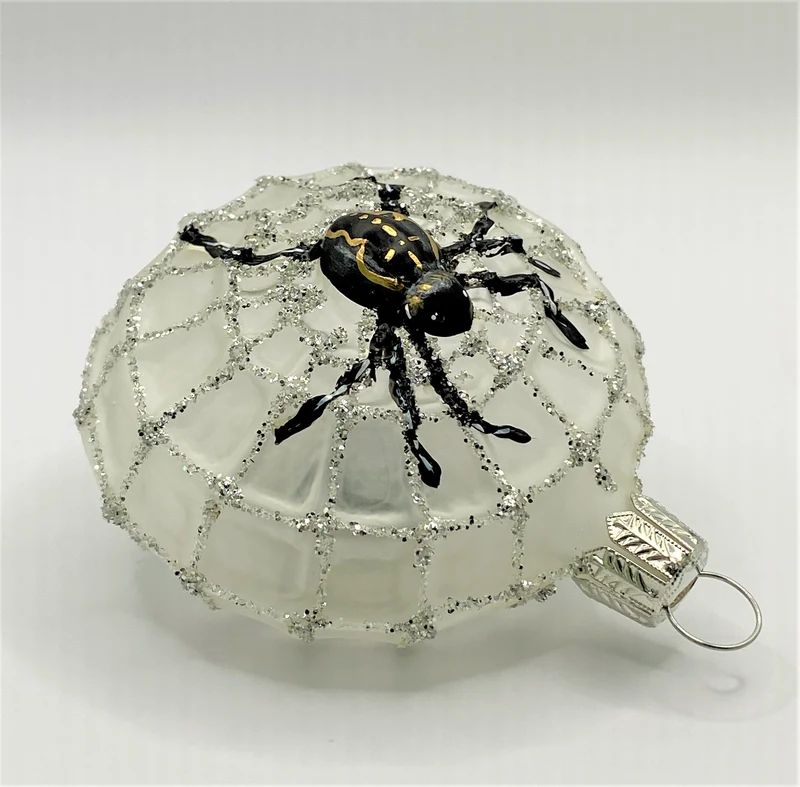 Spinne transparent