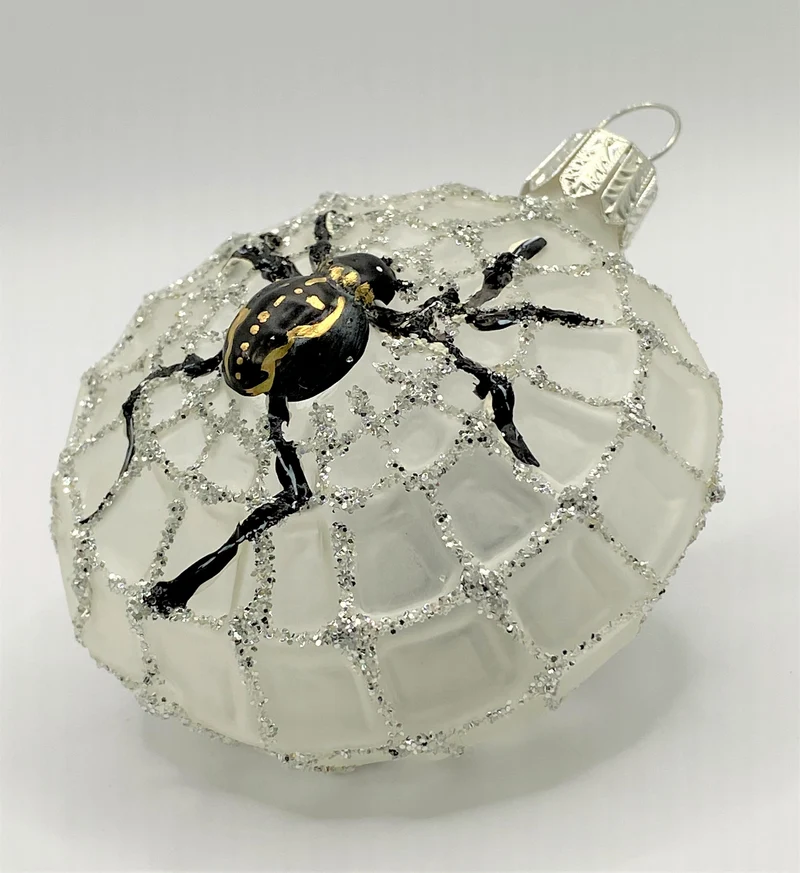 Spinne transparent