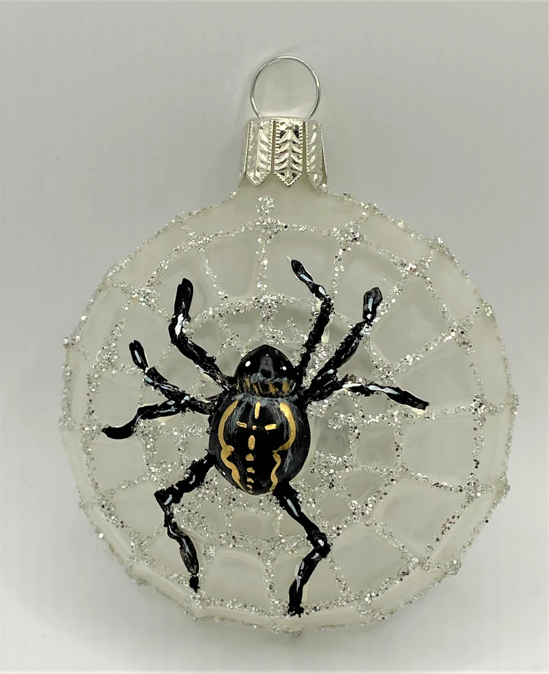 Spinne transparent