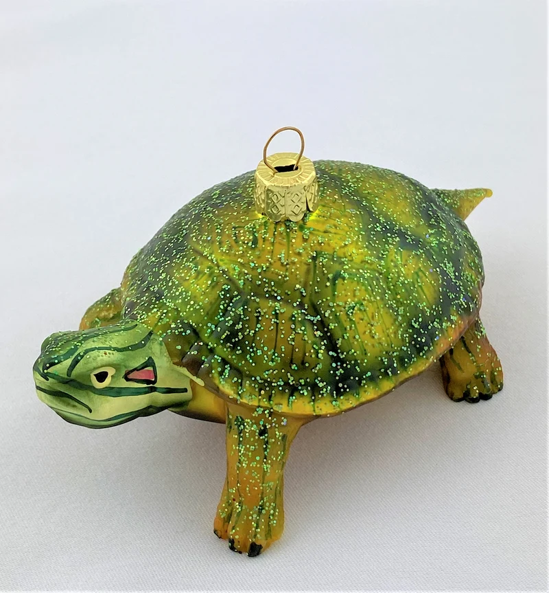 Rotwangenschildkröte