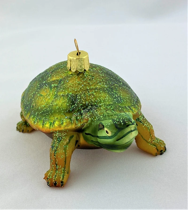 Rotwangenschildkröte
