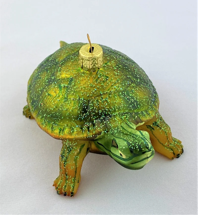 Rotwangenschildkröte