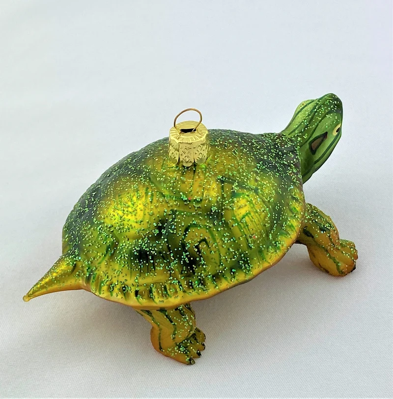 Rotwangenschildkröte
