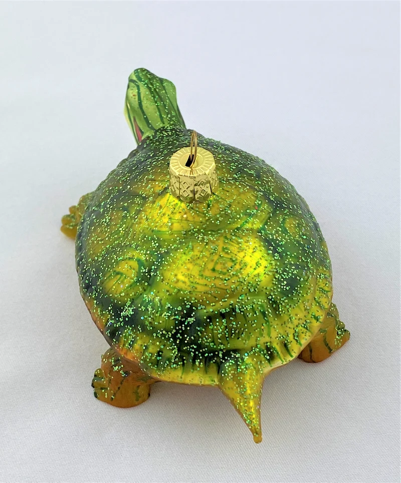 Rotwangenschildkröte