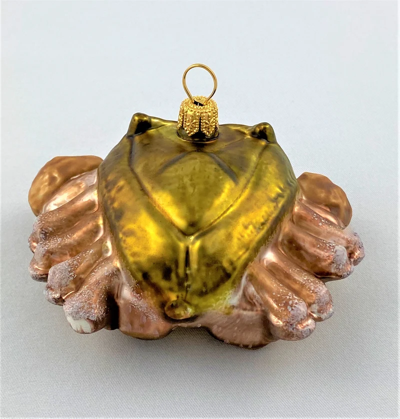 Krebs, olive rosa
