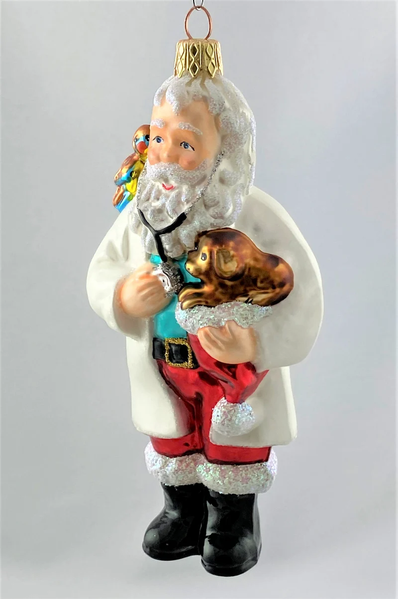 Santa als Tierarzt