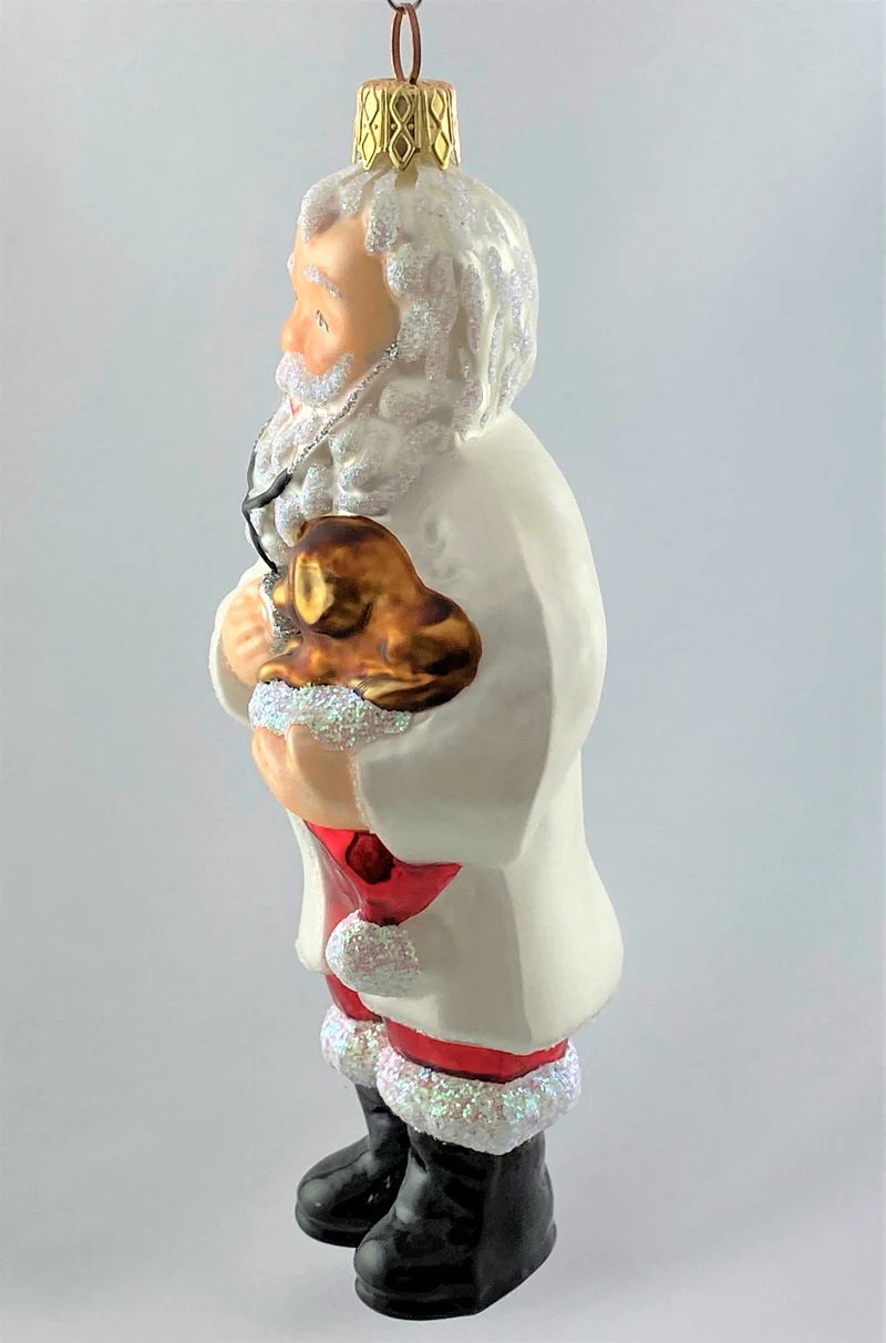 Santa als Tierarzt