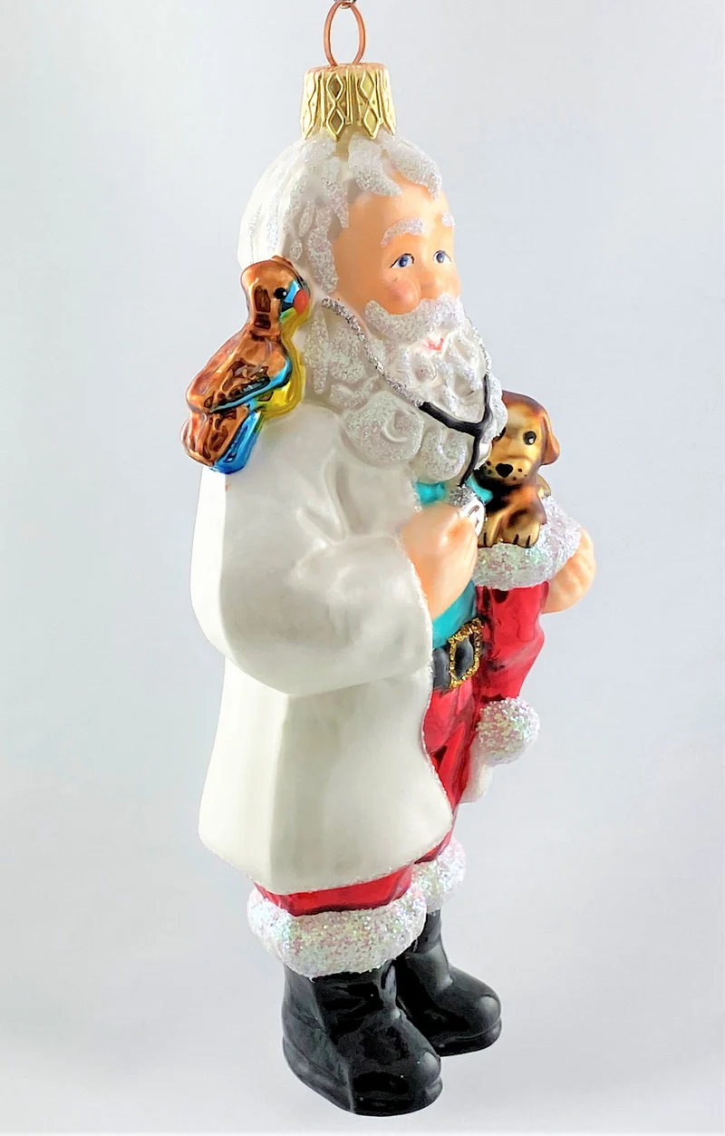 Santa als Tierarzt