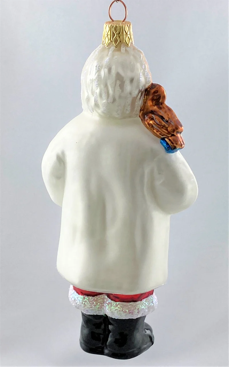 Santa als Tierarzt