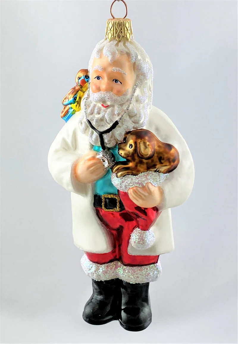 Santa als Tierarzt