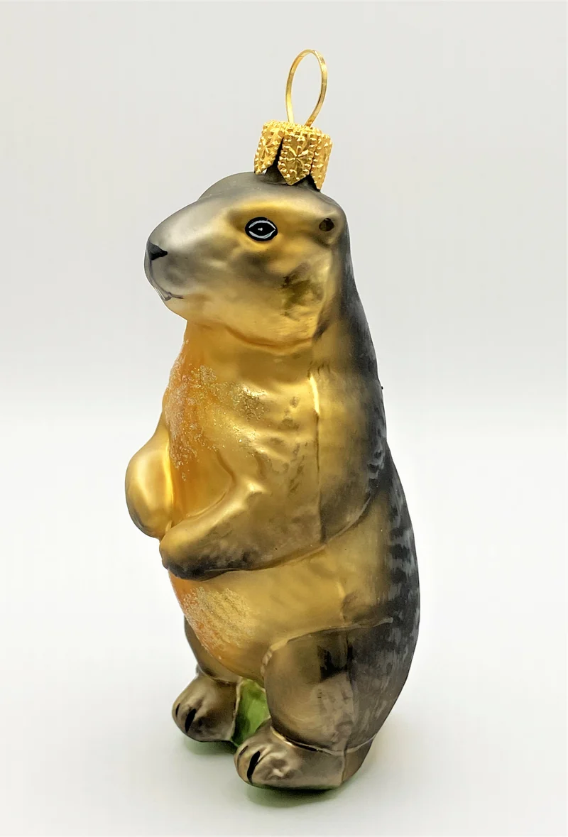 Murmeltier