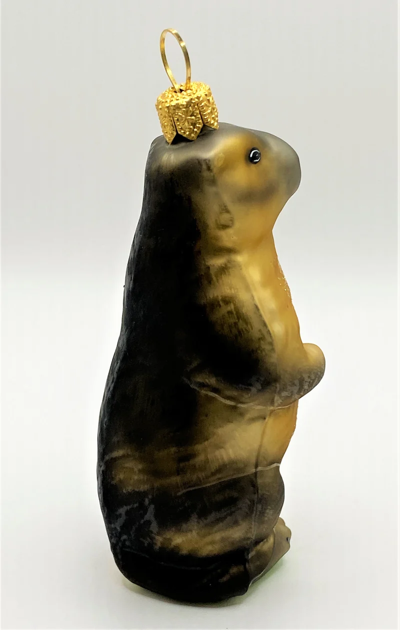 Murmeltier