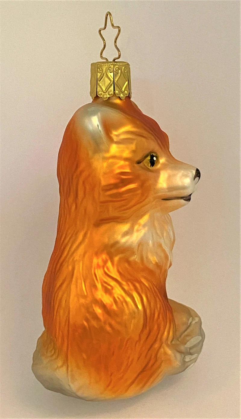 Fröhlicher Fuchs mit buschigem Schwanz