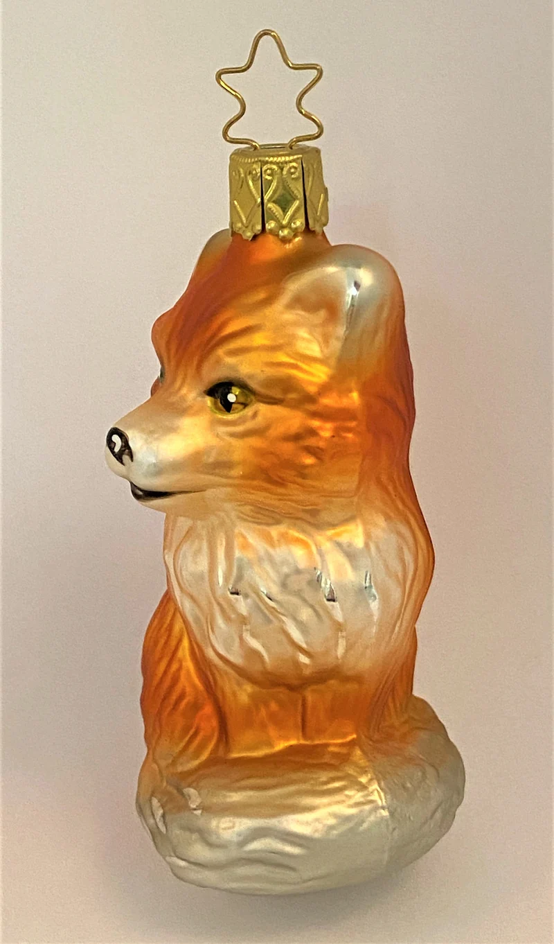 Fröhlicher Fuchs mit buschigem Schwanz