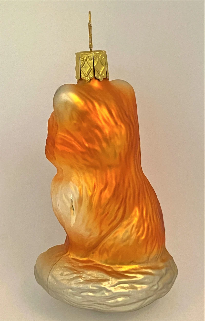 Fröhlicher Fuchs mit buschigem Schwanz