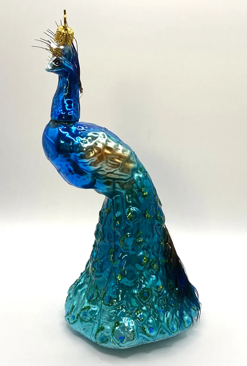 Prächtiger Pfau