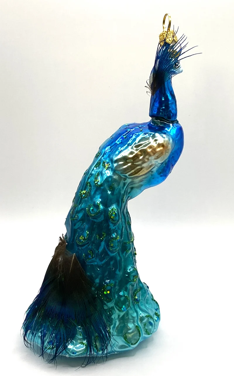 Prächtiger Pfau