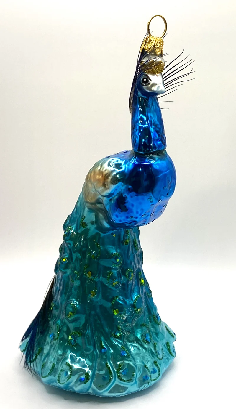 Prächtiger Pfau