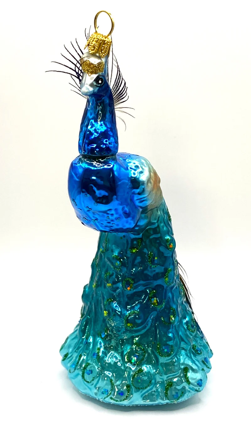 Prächtiger Pfau