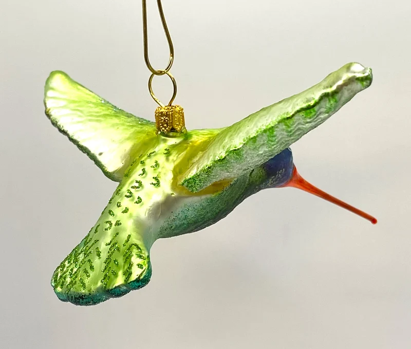 Kolibri mit langem rotem Schnabel