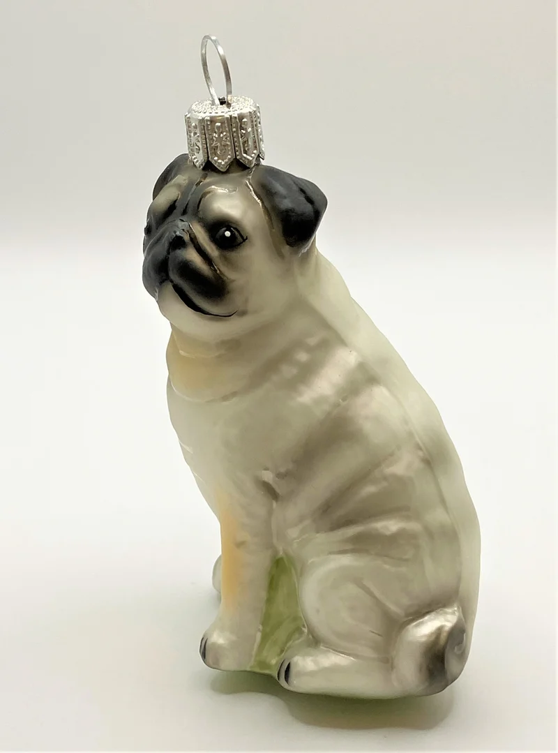 Mops mit hellem Körper