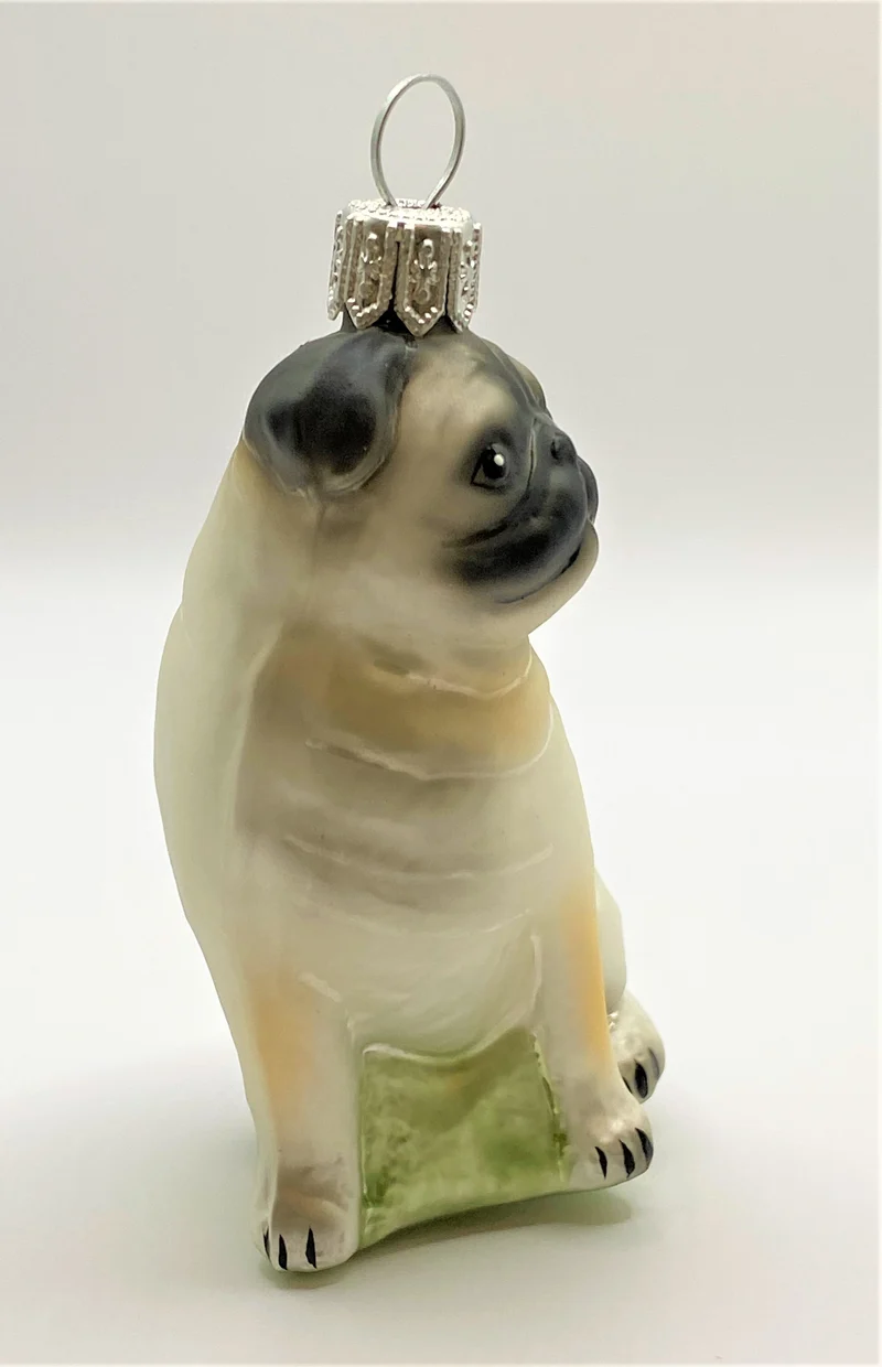 Mops mit hellem Körper