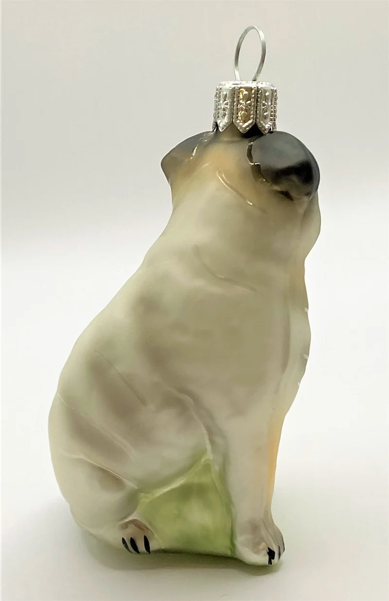 Mops mit hellem Körper