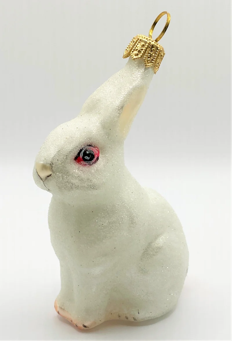 Kaninchen weiss mit roten Augen