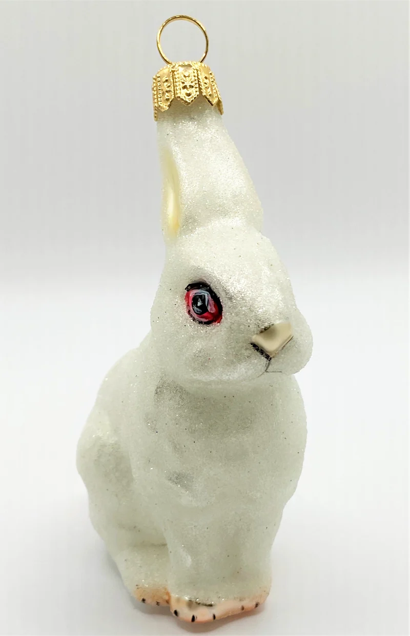 Kaninchen weiss mit roten Augen