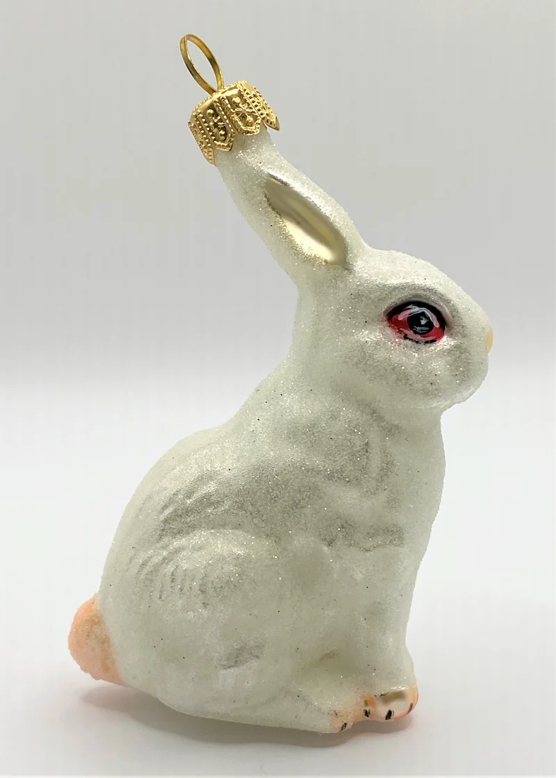 Kaninchen weiss mit roten Augen