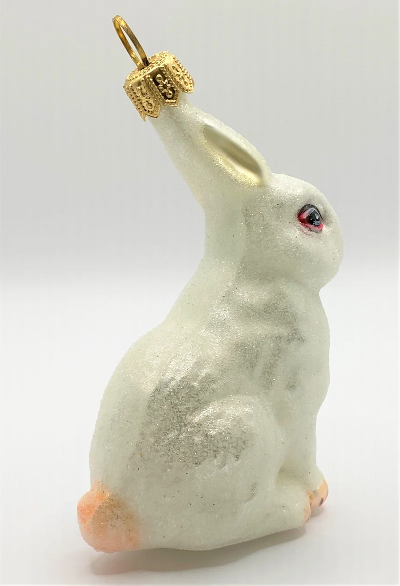 Kaninchen weiss mit roten Augen