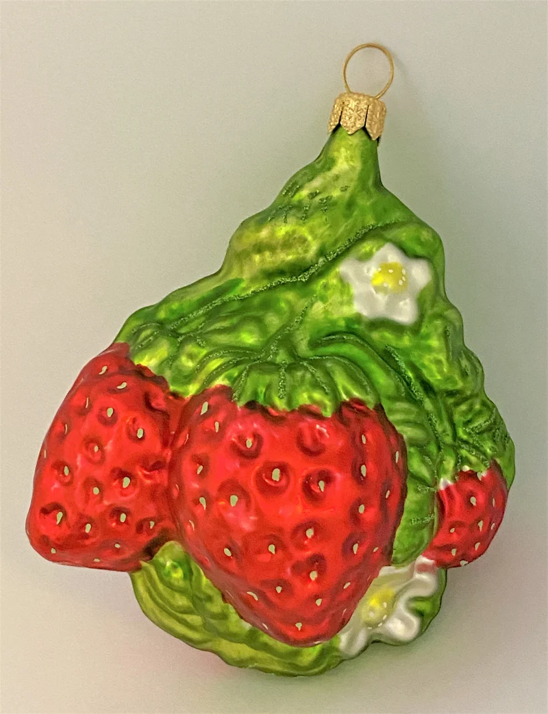 Erdbeerenstrauch mit Blüten
