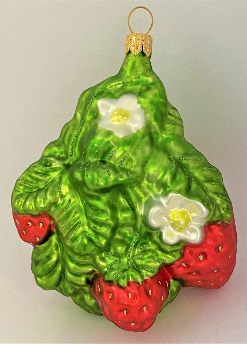 Erdbeerenstrauch mit Blüten