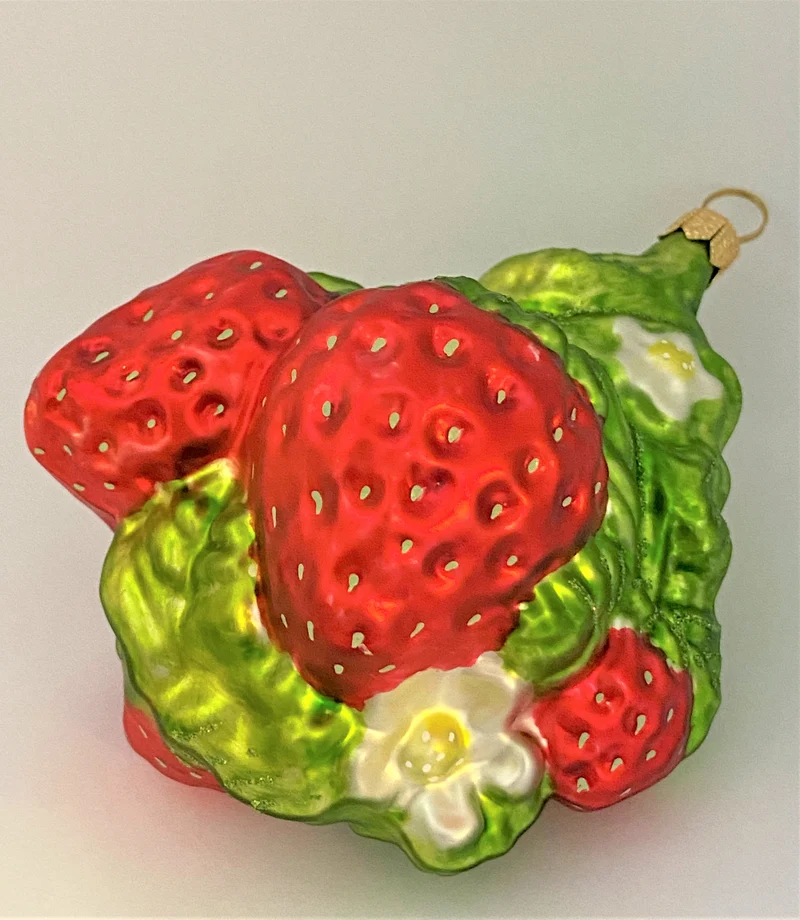Erdbeerenstrauch mit Blüten