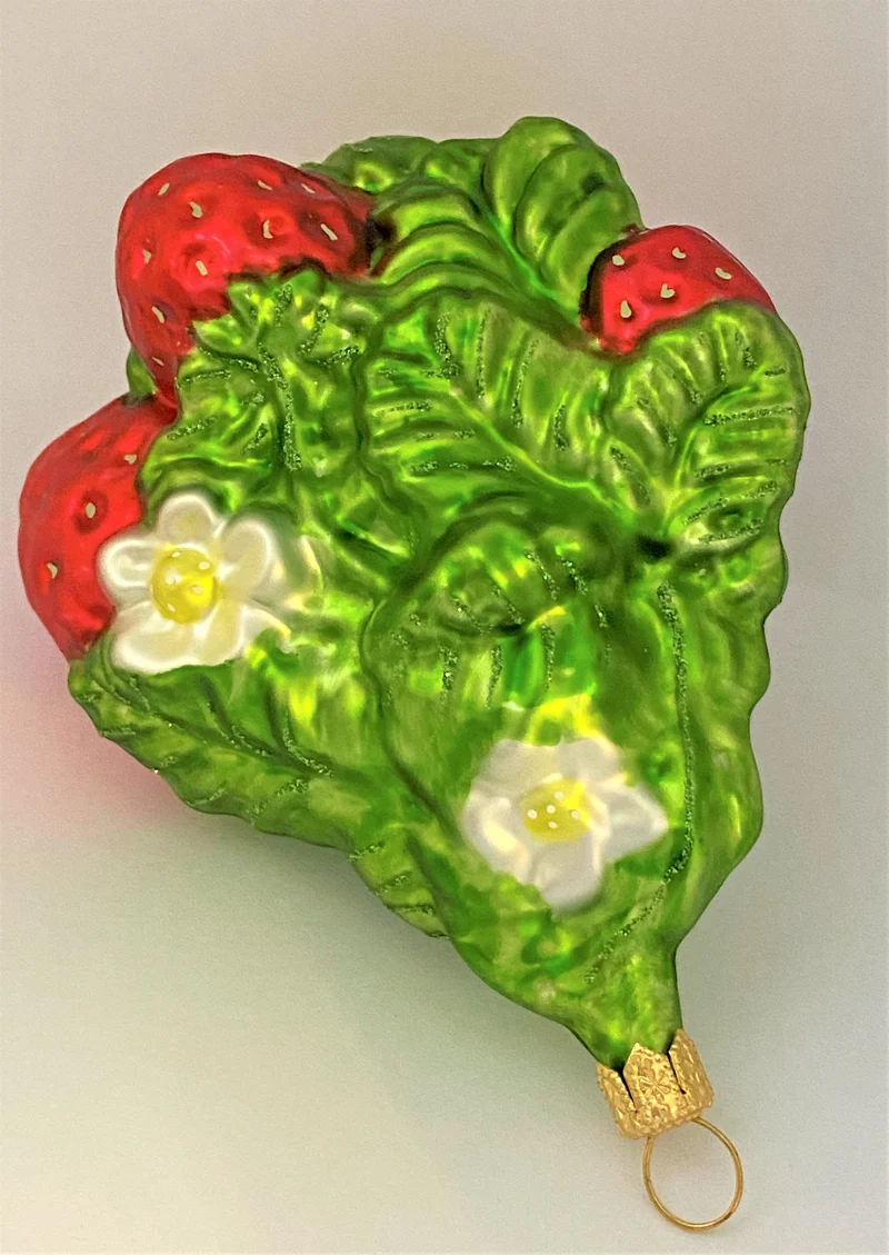 Erdbeerenstrauch mit Blüten