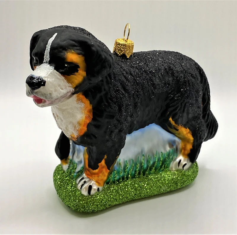 Berner Sennenhund